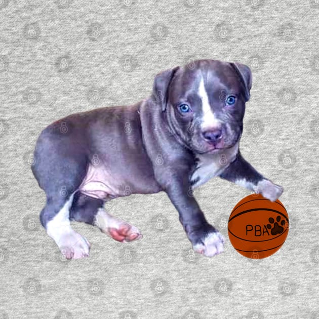 Blue line pit bull dog basket ball player- cute pitbull in the with it’s pitbull basketball association ball by Artonmytee